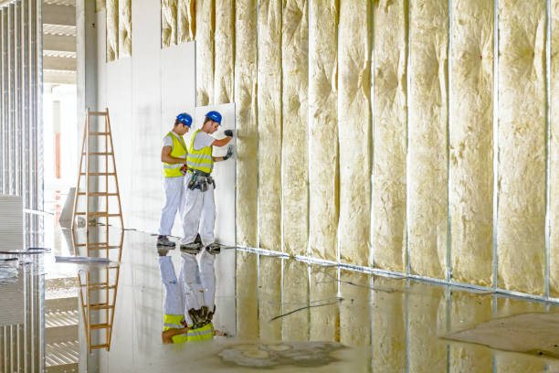 Trusted Lincolnton, GA Insulation Experts